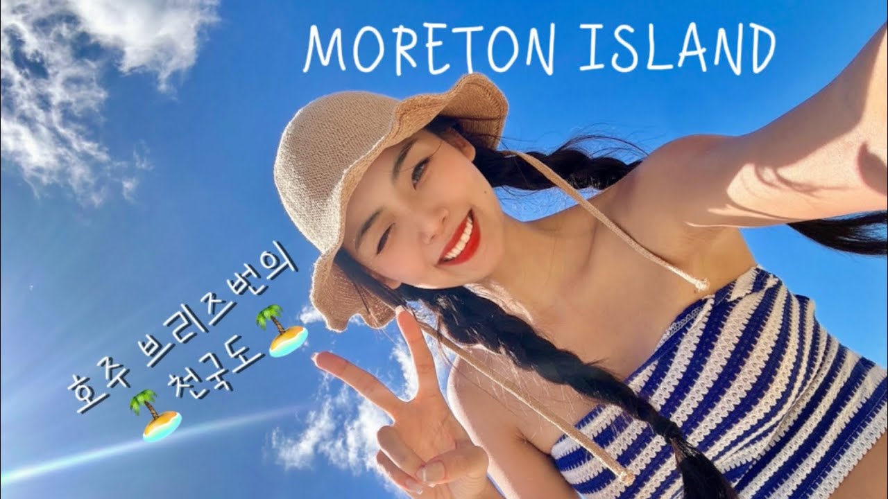 🇦🇺호주 브리즈번의 천국도 MORETON ISLAND🏝️ 모튼섬 스노쿨링, 야생 돌고래 피딩🐬🩵