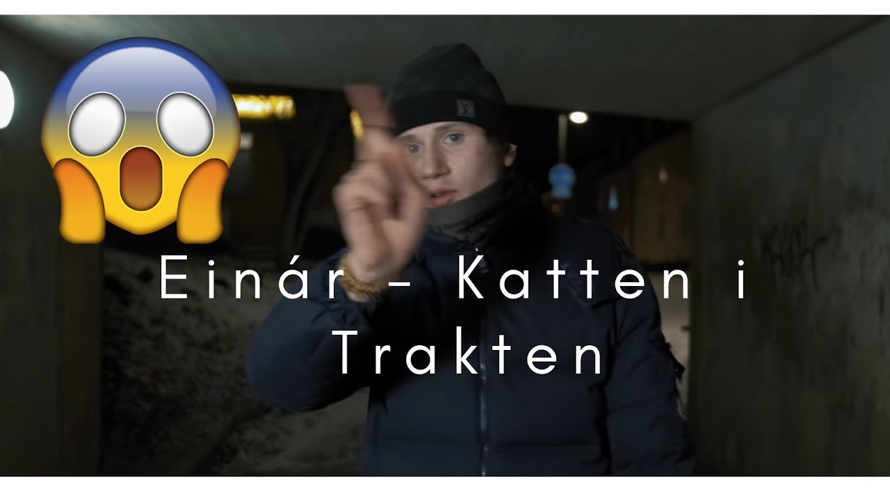 Einár - Katten i Trakten Official Music Video REACTION