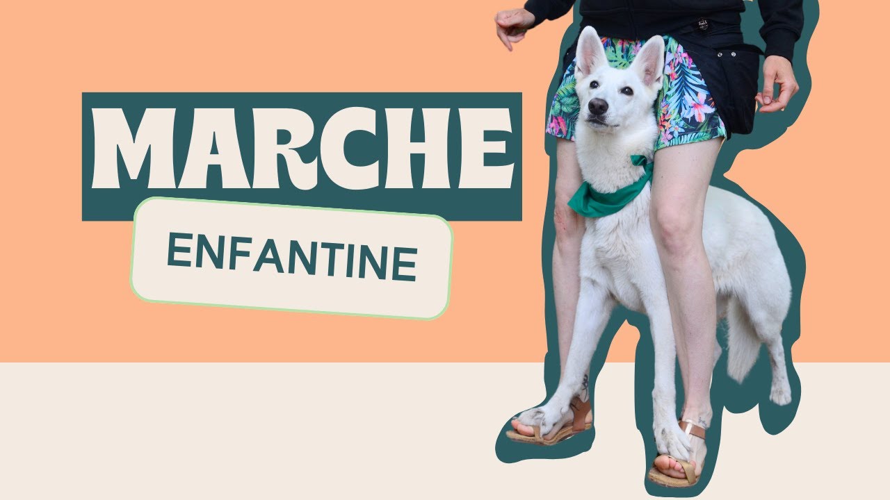 La marche enfantine avec son chien - tuto facile !