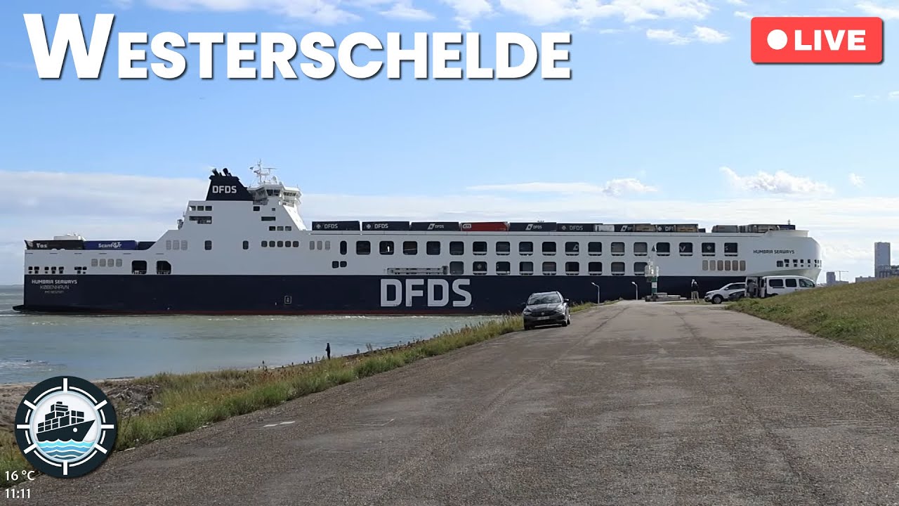 LIVE: 🚢 Ship spotting at the Westerschelde, NL | September 13th, 2025