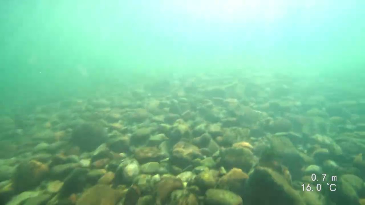 Diving Switzerland &mdash; Rhein river drift dive