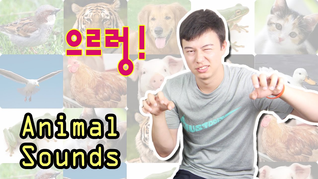 [Ask Hyojin] Animal Sounds in Korean