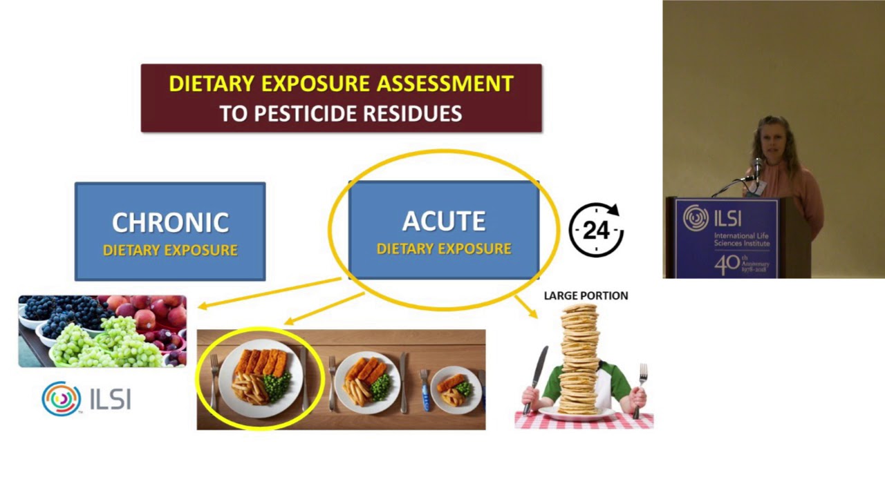 ILSI: Evaluation of the Acute and Chronic Food Consumption&hellip;(Cristiana Leslie Corr&ecirc;a, PhD)