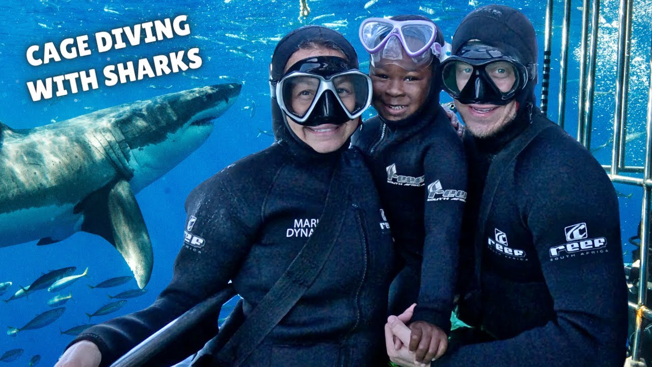 Cage Diving with SHARKS in South Africa!