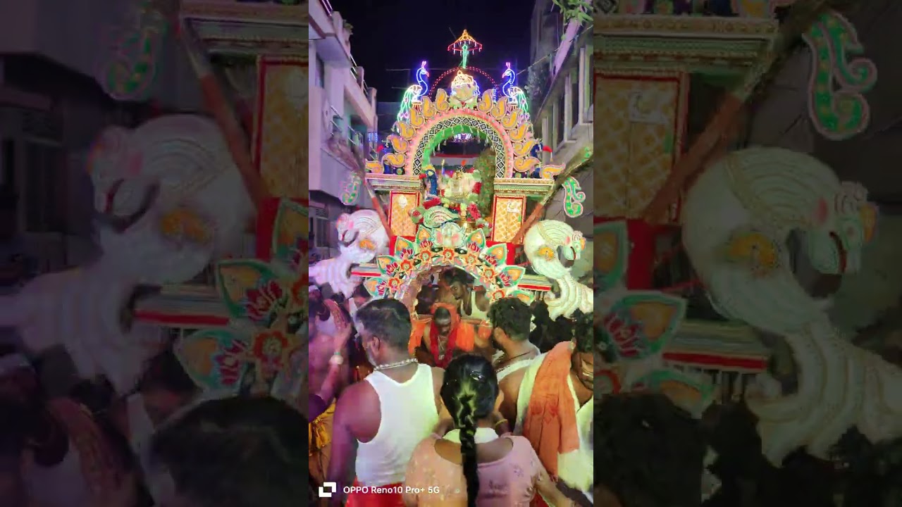 #kavadi #murugan #mailam #குருசாமி எஸ்.கார்த்தி அவருடிய மைலம் காவடி✨🦚🙏