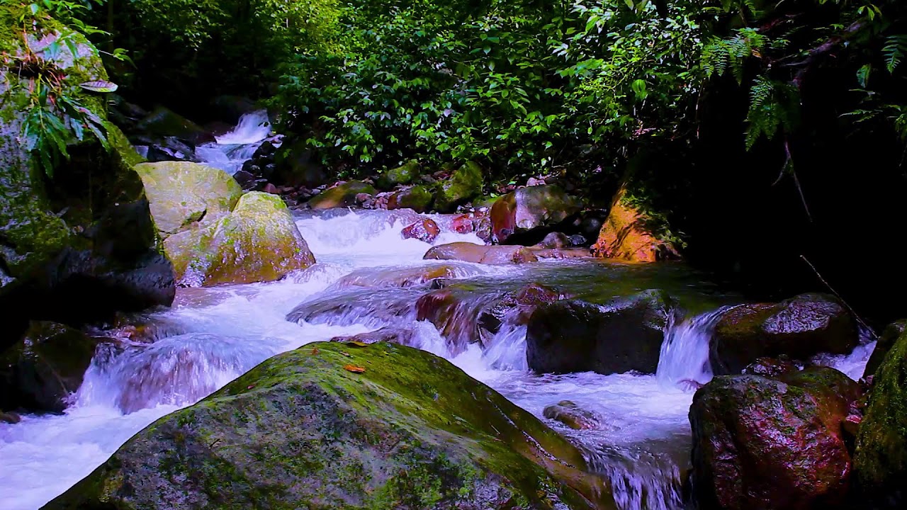 Fall Asleep Quickly | Mountain Stream White Noise for Deep Sleep
