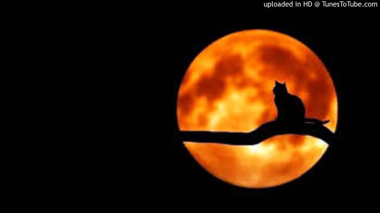 David Temessi - Forget The World (Original Mix)