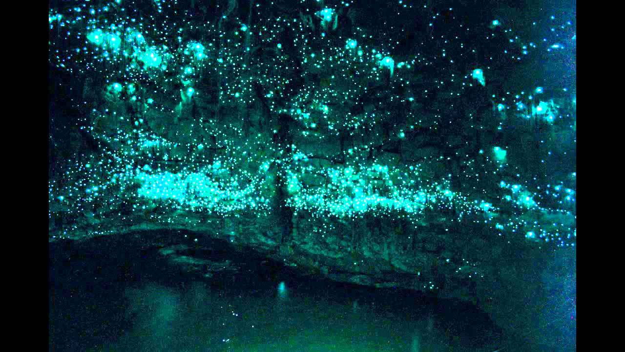 H. P. Lovecraft -- The Beast In The Cave (audio book)