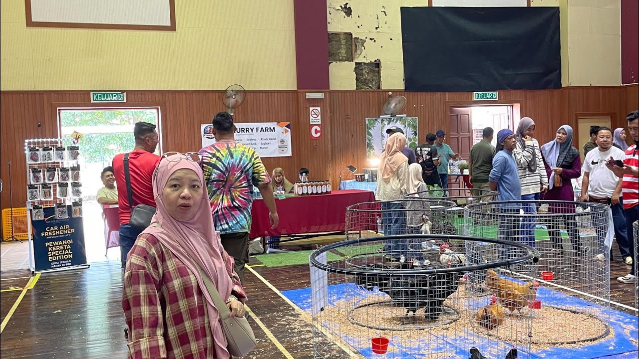 VIDEO 34: HADIR KE PERTANDINGAN & PAMERAN AYAM KOKOK FEST 2025.