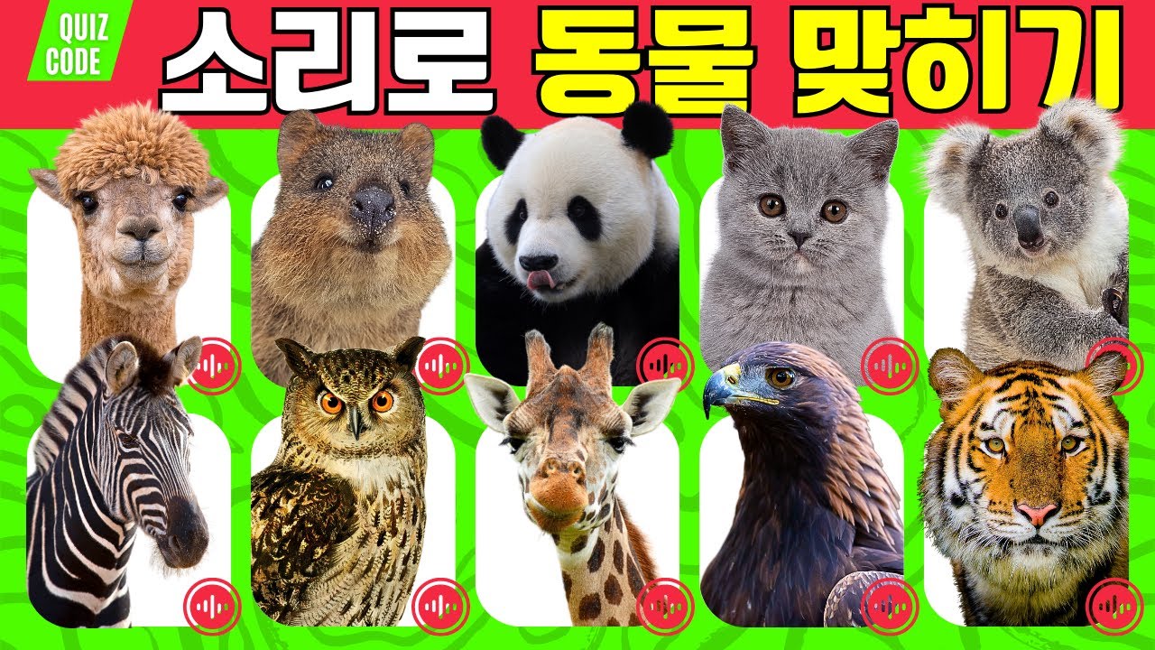 동물소리 퀴즈 게임 | 울음소리 듣고 동물 맞히기 | 스피드 퀴즈 | guess the animal sound