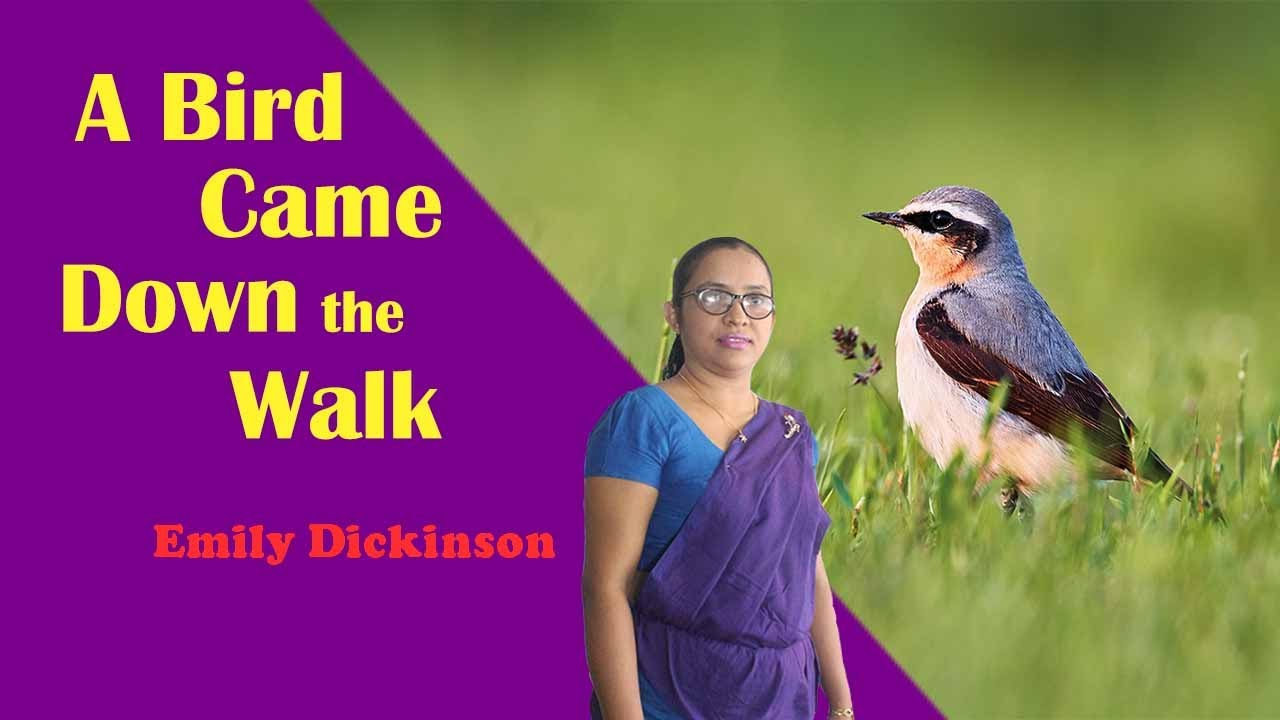 A Bird Came Down the Walk by Emily Dickinson | The Literature Teacher
