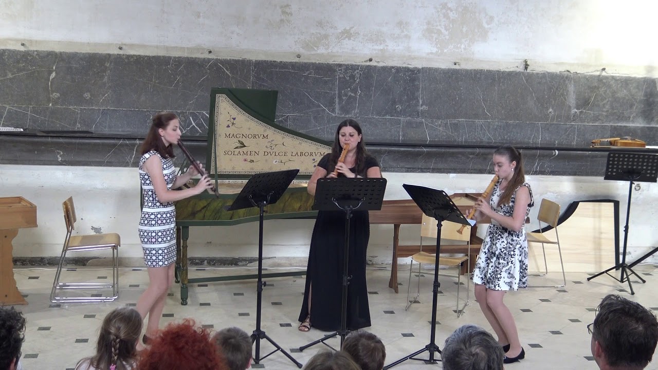 J.B.de Boismortier: Trio d moll | Class: G&aacute;bor Prehoffer | ML&Scaron;SH 2019