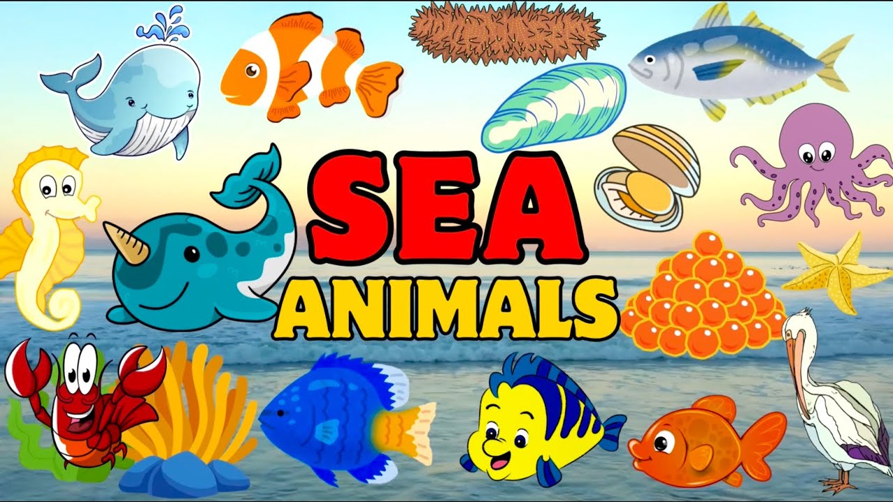 Sea Animals | Kids vocabulary | Learn English For Kids | kids Vocabulary | English Educational Video