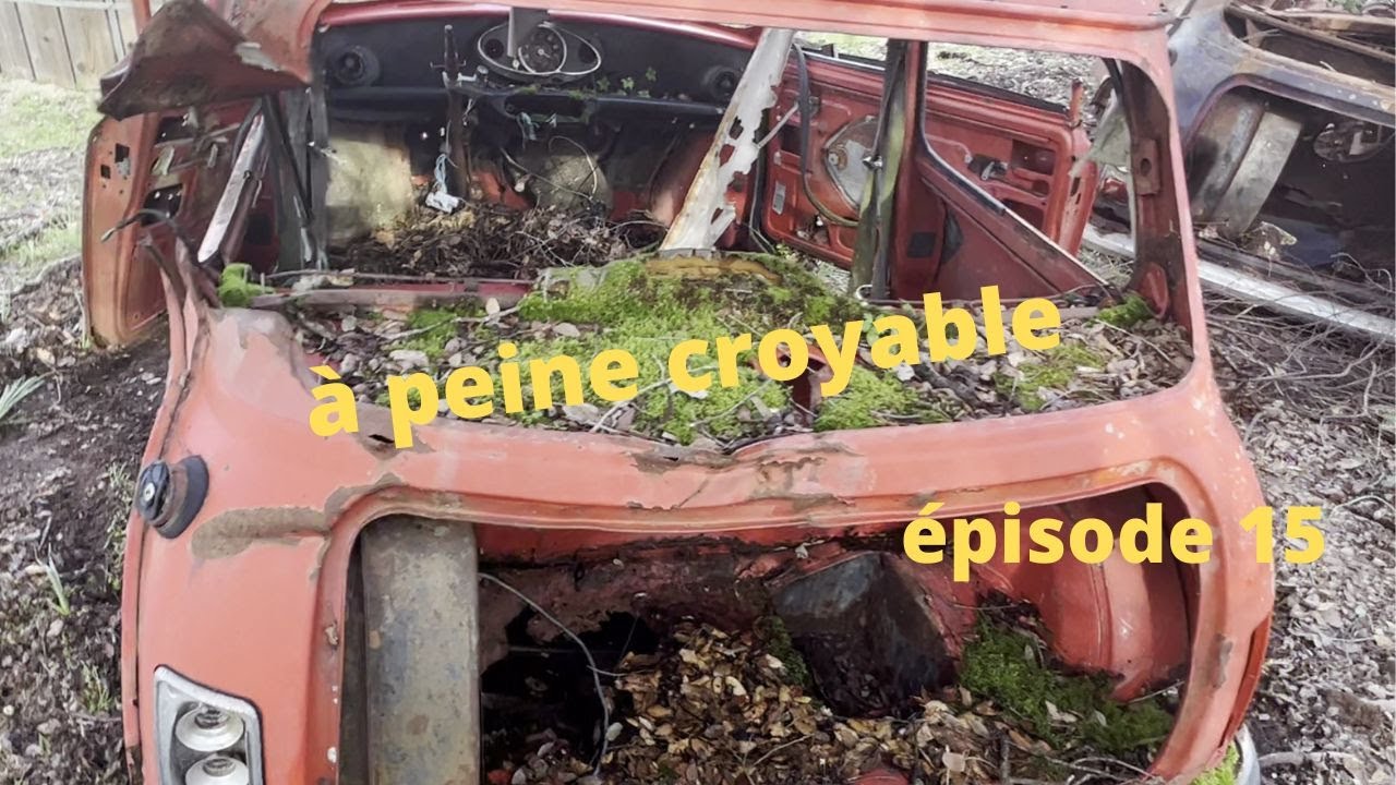 Qui aurait pu croire à une telle transformation en 3 mois! le phénix renait vraiment de ses cendres!