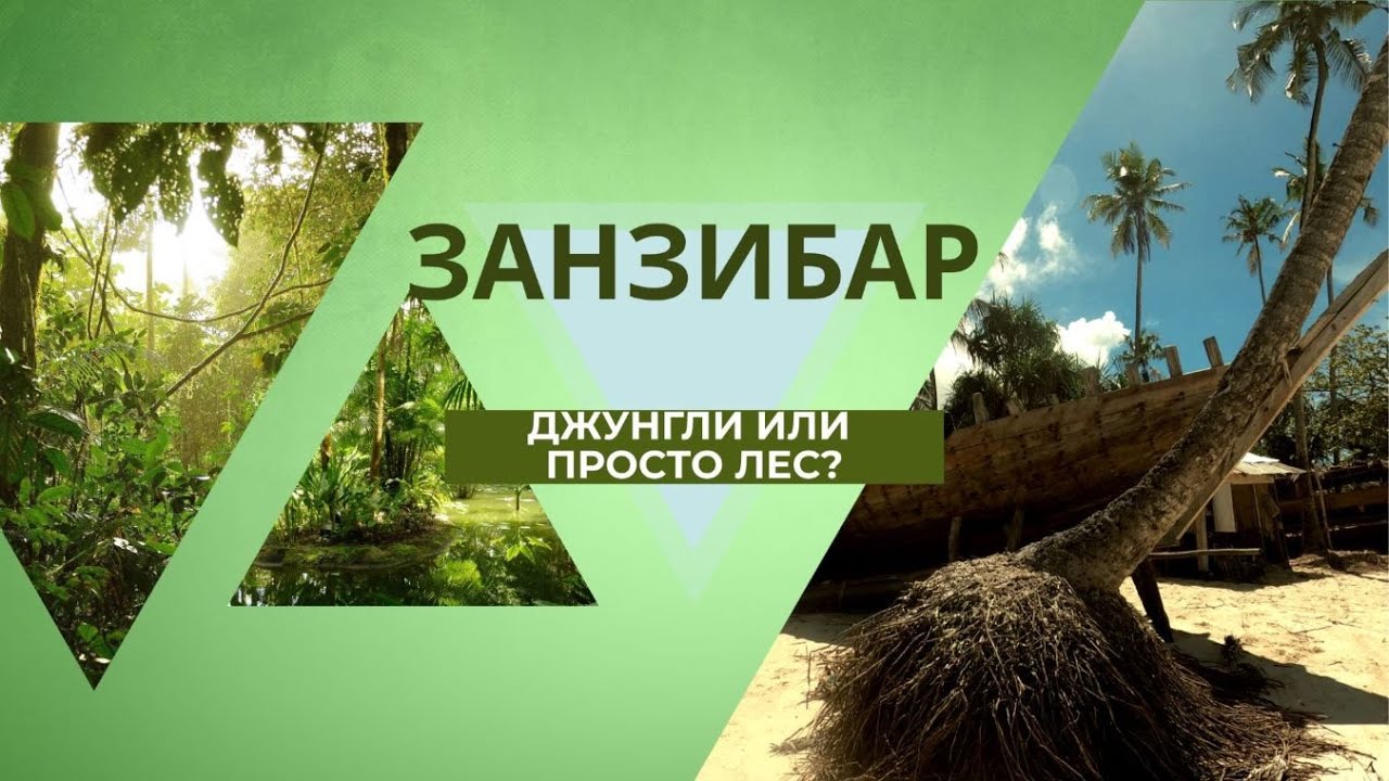 ЗАНЗИБАР: Страна джунглей/ Мы нашли зеленую мамбу