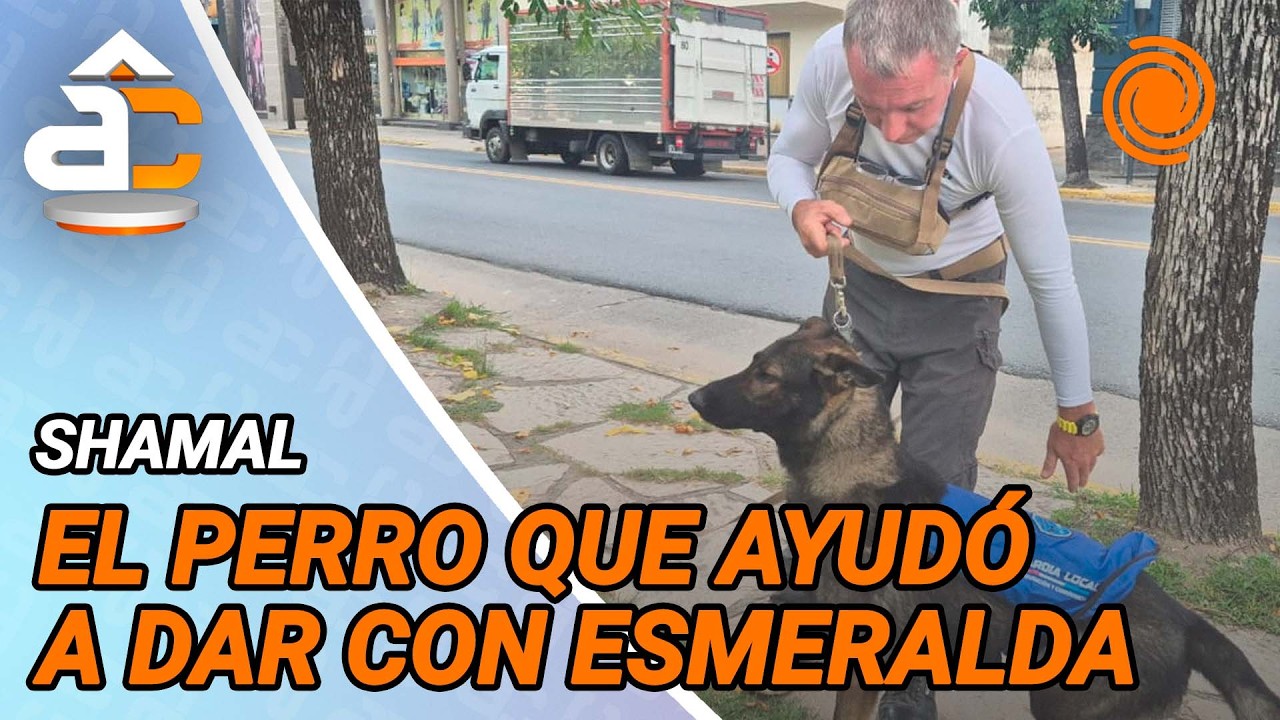 Shamal, el perro clave en el caso Esmeralda