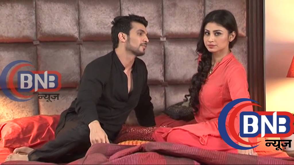 Nagin Serial 22 December 2015 Shivanya & Ritik Raheja Cute Fight