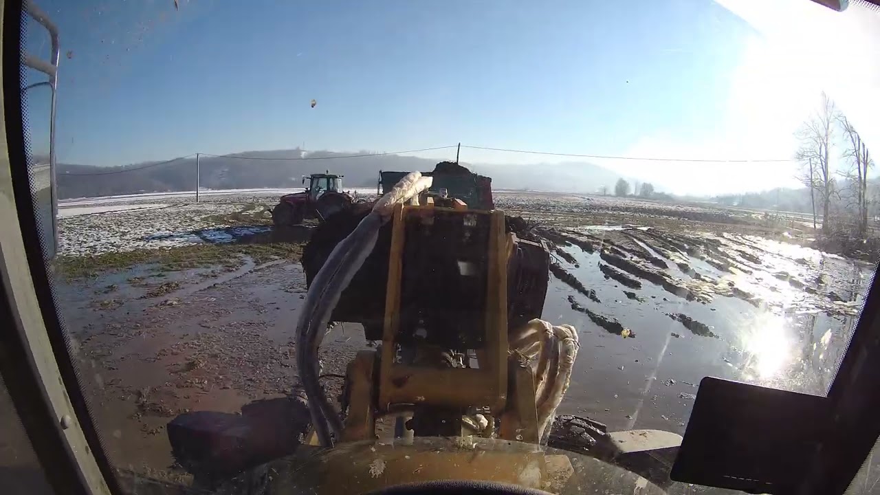 Telescopic loader hard work 