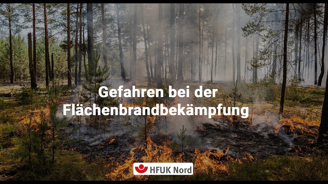 Gefahren der Flächenbrandbekämpfung - Vegetationsbrand Sicherheit