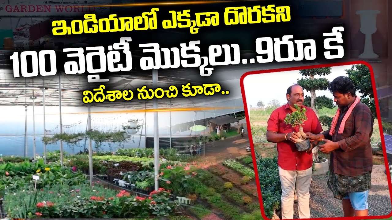 శ్రీ లక్ష్మీ గణపతి ఆగ్రో ఏజన్సీస్ వారి అగ్రివరల్డ్ మరియు గార్డెన్ వరల్డ్ | Sujith | @SumanTVNellore