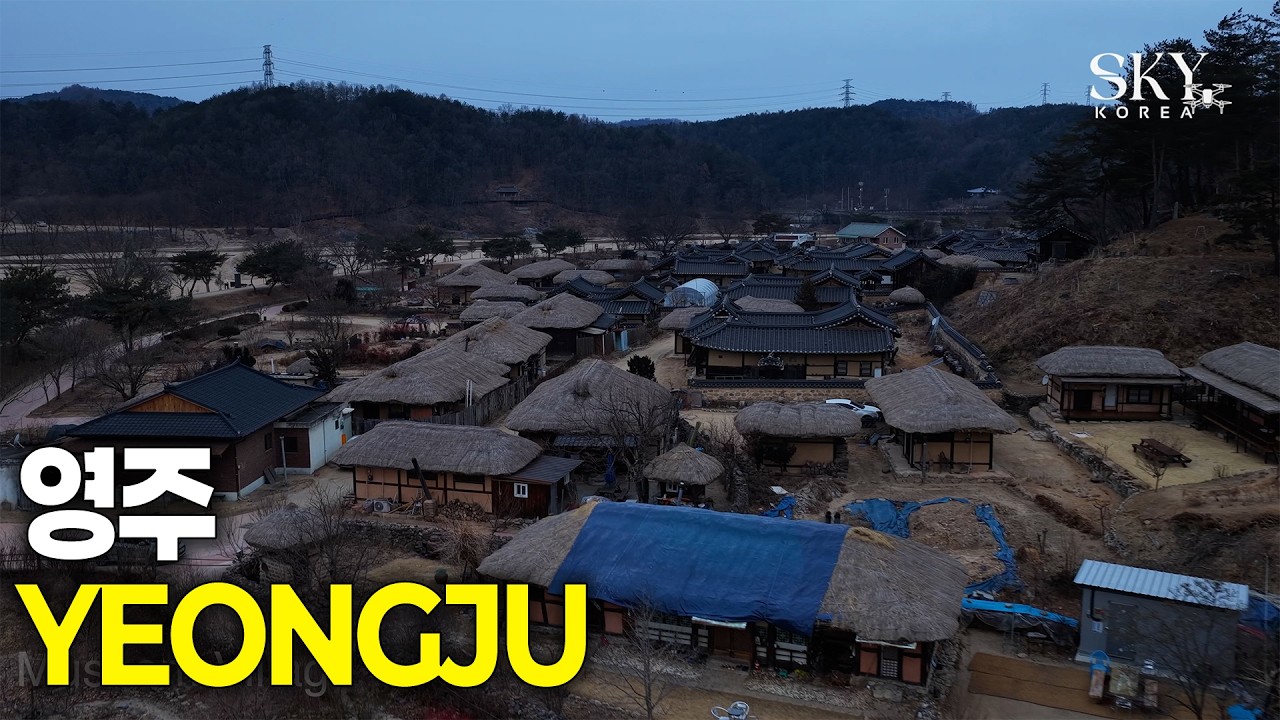 하늘에서 본 영주(4K) 1편 | 강물이 마을을 휘감아 도는 육지 속 섬 ☁️ 드론으로 만난 영주 무섬마을과 외나무다리 #영주여행 #무섬마을 #외나무다리 #초가집 #드론4K