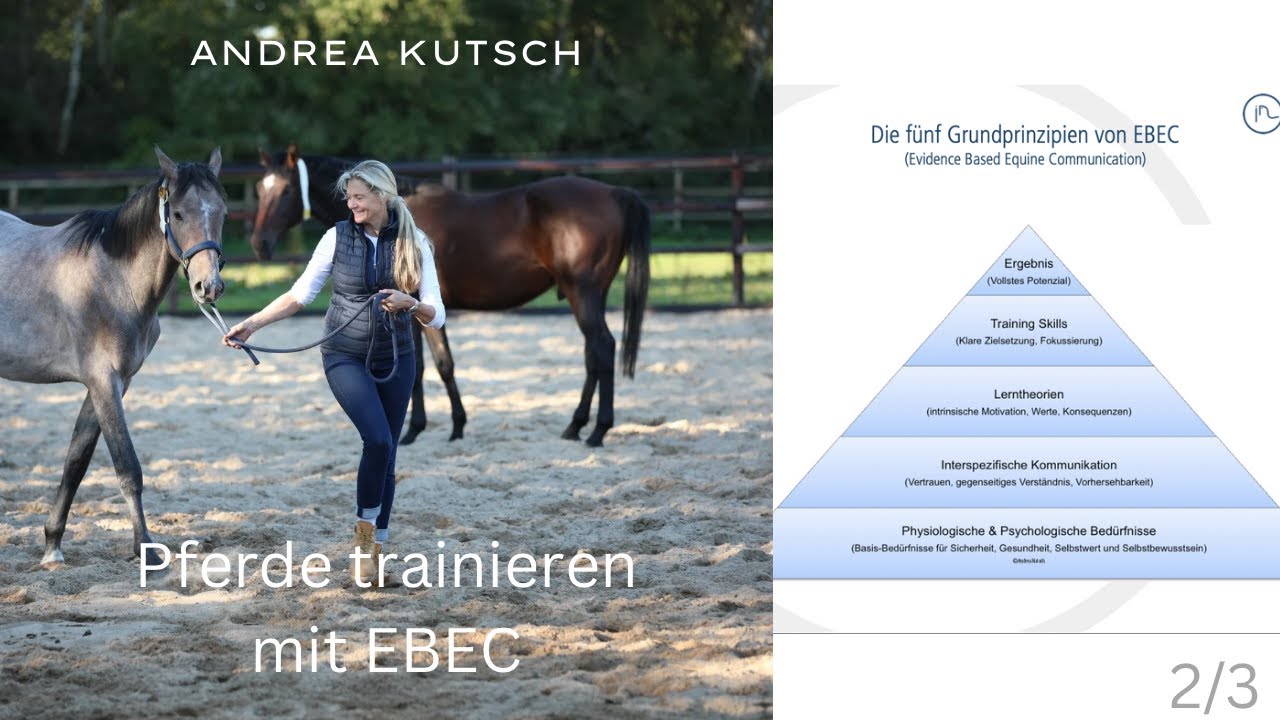 Die EBEC&reg;-Pyramide &ndash; Teil 2 | Pferdekommunikation & K&ouml;rpersprache richtig verstehen