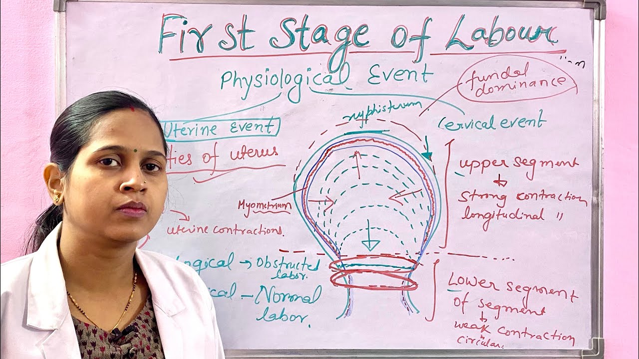 First stage of labour/ Definition/ phases/Physiological events/ Important for all nursing exams