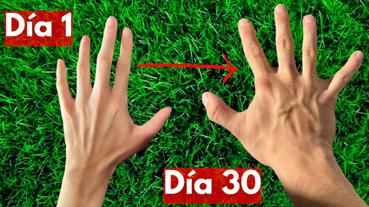 Cómo Tener Manos GRUESAS y MASCULINAS para REVENTAR en Pulsos