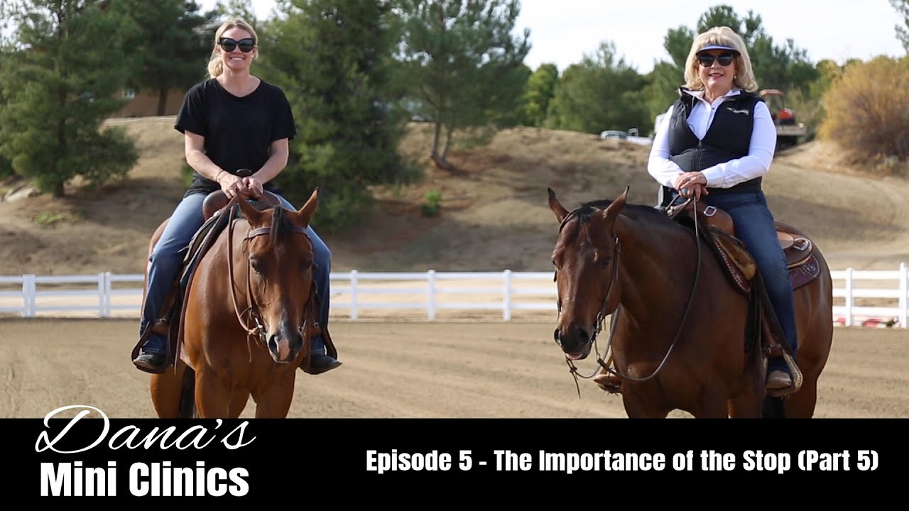 Dana's Mini Clinics | Episode 5 - The Importance of the Stop (Part 5)