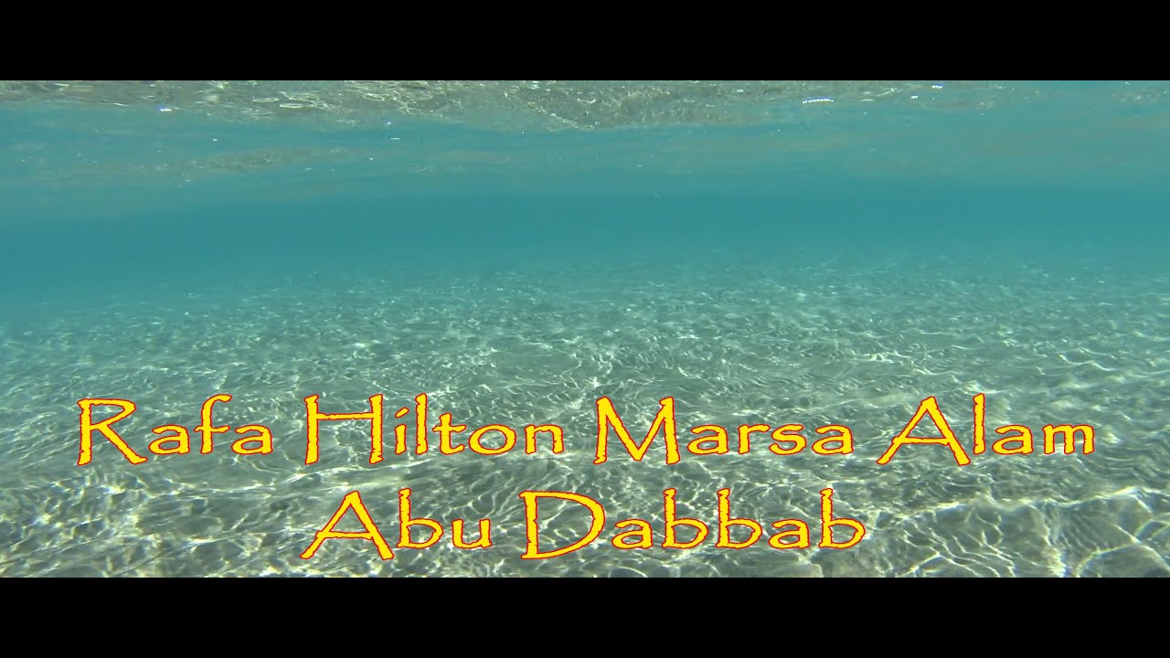 [ 4K ] Rafa Abu Dabbab JULY 2024 - Hilton Marsa Alam Nubian Resort #Hilton #egipt #redsea #marsaalam