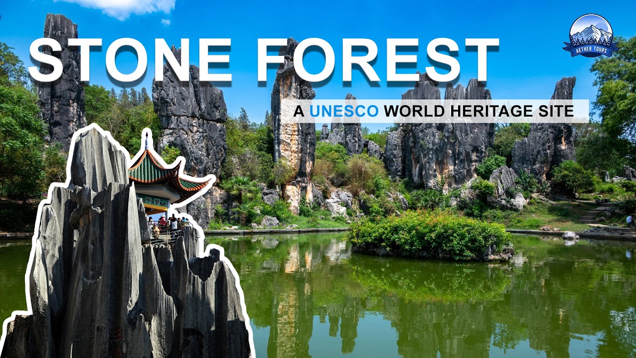 Exploring Stone Forest Kunming I UNESCO Site You Must Visit in China I Aether Tours