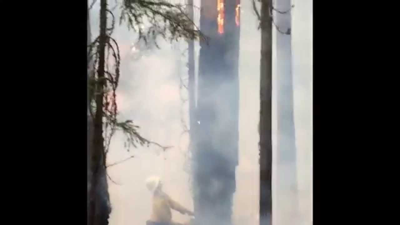 Falling A Flaming Snag In The Middle Of Hot Ashes And Breathing Hot Air And Smoke