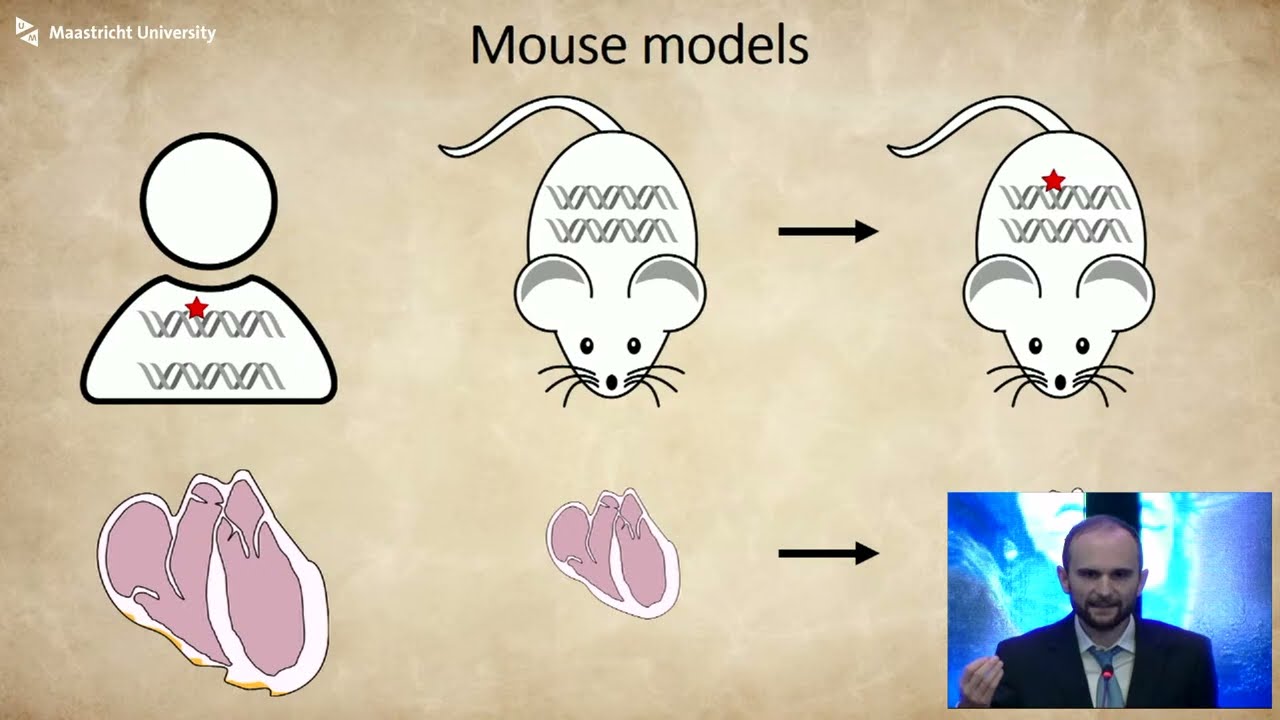 Phd Defence of Robin Morris Wim Colpaert