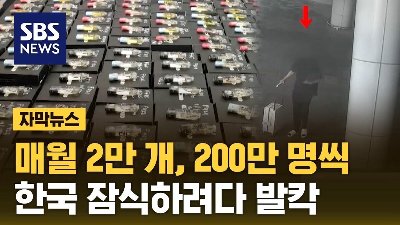 매월 2만 개, 200만 명씩…한국 잠식하려다 발칵 (자막뉴스) / SBS