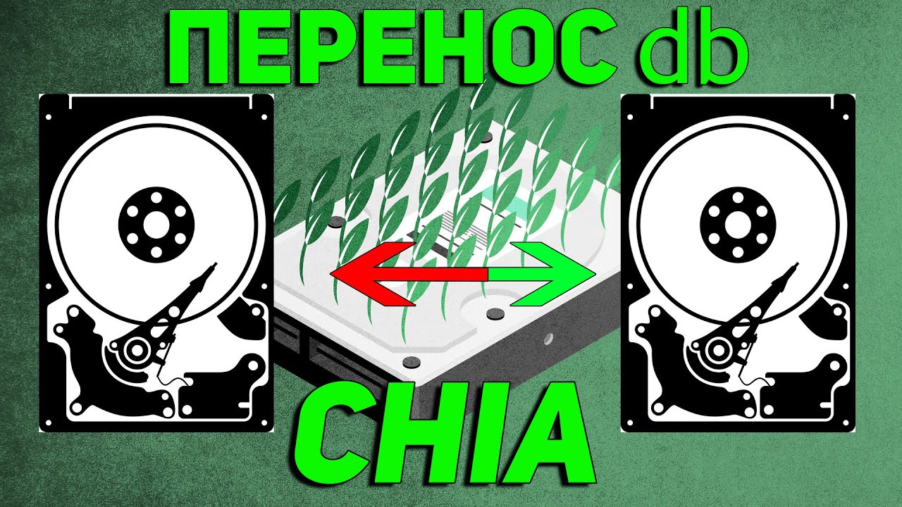 Как перенести базу данных Chia на другой диск. Перенос DB Chia.