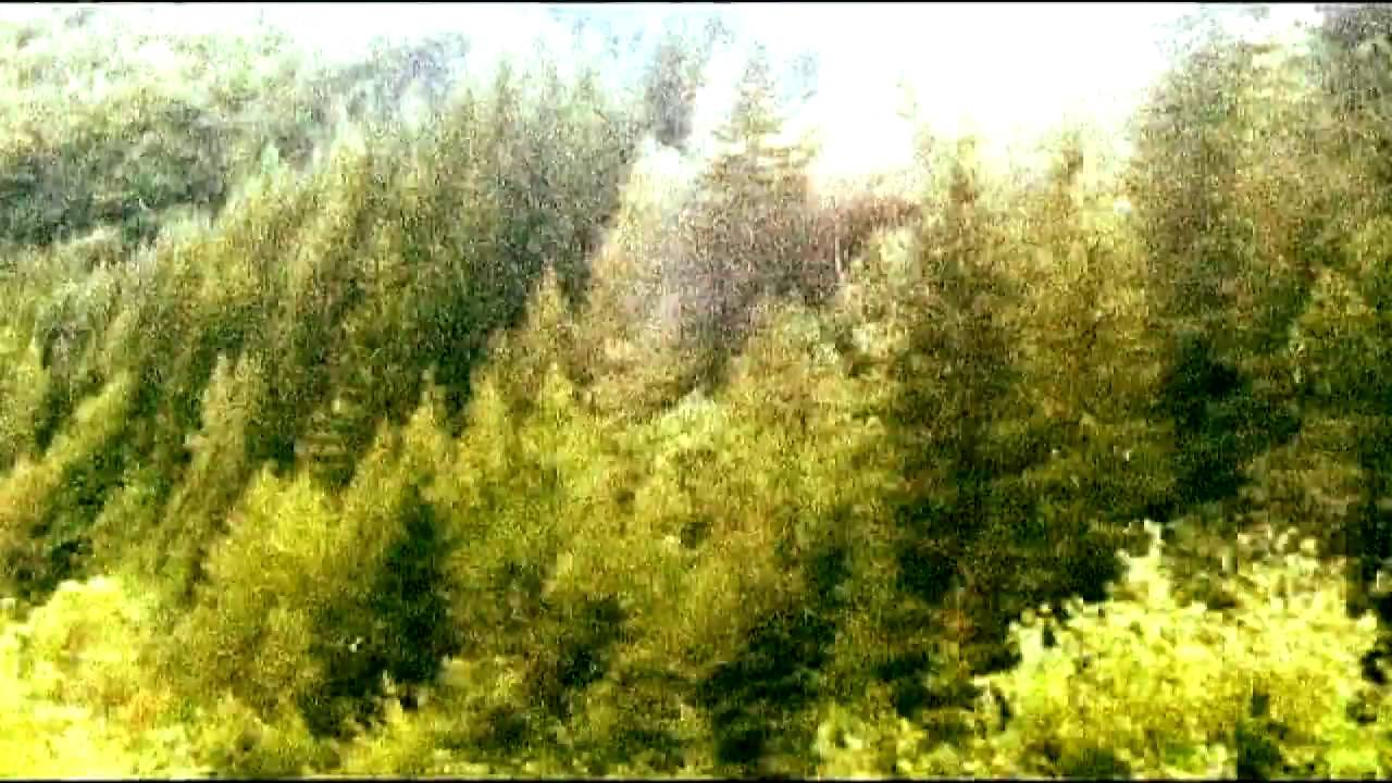 BALKANSKY - The Green Balkan Mountains