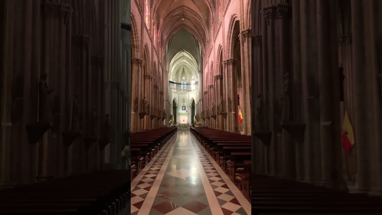 Inside Basilica Del Voto Nacional 🇪🇨 #quito #ecuador #shorts