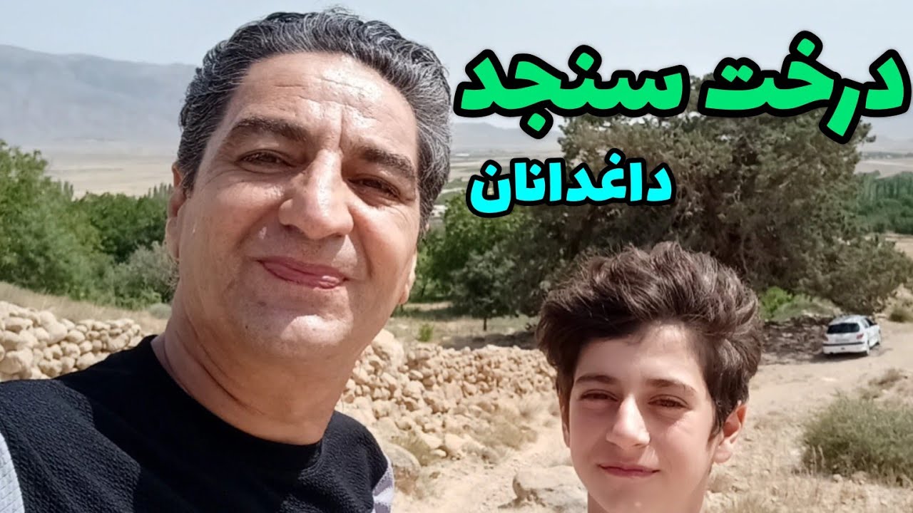 نقطه آخر درخت سنجد نقطه آخر درخت داغدانان گنج درخت سنجد کجاست گنج درخت داغدانان رضاابراهیمی