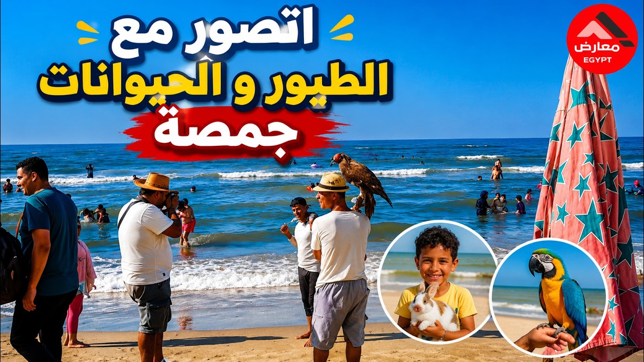 جمال مصيف جمصة 2025 أهدى شاطئ متعه وراحة نفسية لا توصف