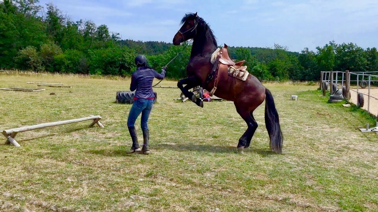 Hero se závodů účastnit nechtěl | VLOG