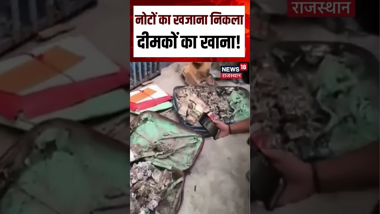 Viral Cash Video : नोटों का खजाना निकलादीमकों का खाना! | N18S | Viral | Cash | Top News |