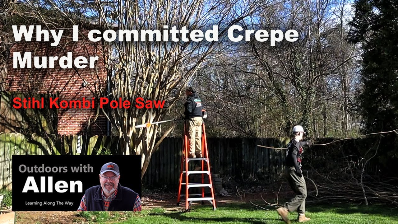 Why I committed Crepe Murder on my Crepe Myrtle