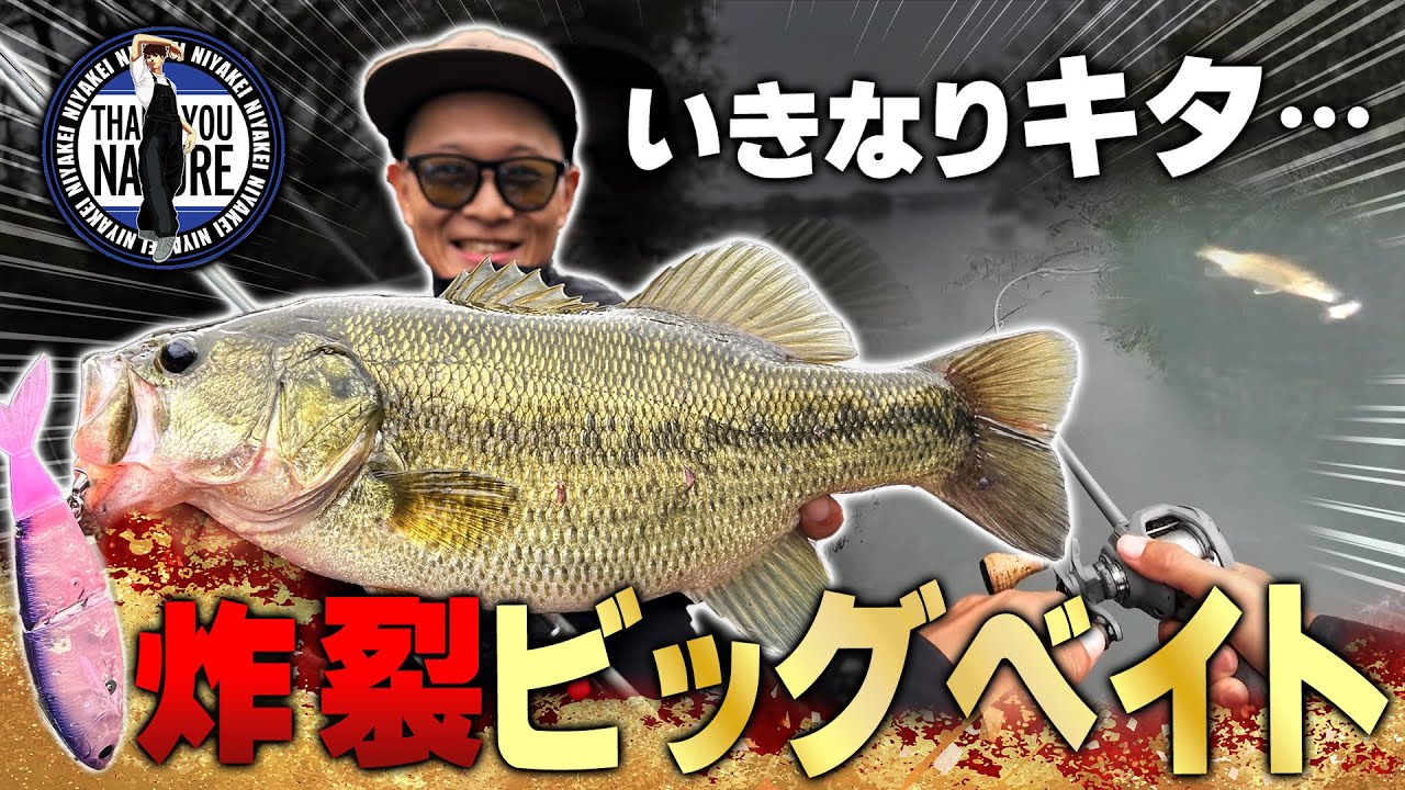 箱出し一発目でいきなり釣れる驚異のビッグベイト【バス釣り】