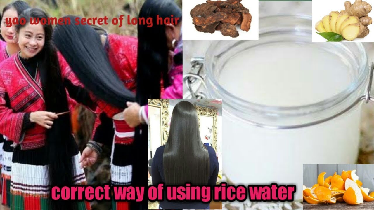 Fermented rice water for hair health /yao women tradition //for instant hair growth #beaucrets