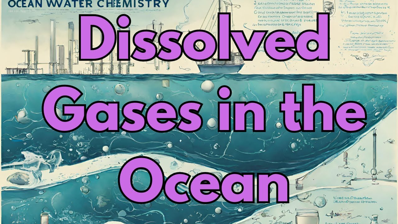 Dissolved Gases in the Ocean