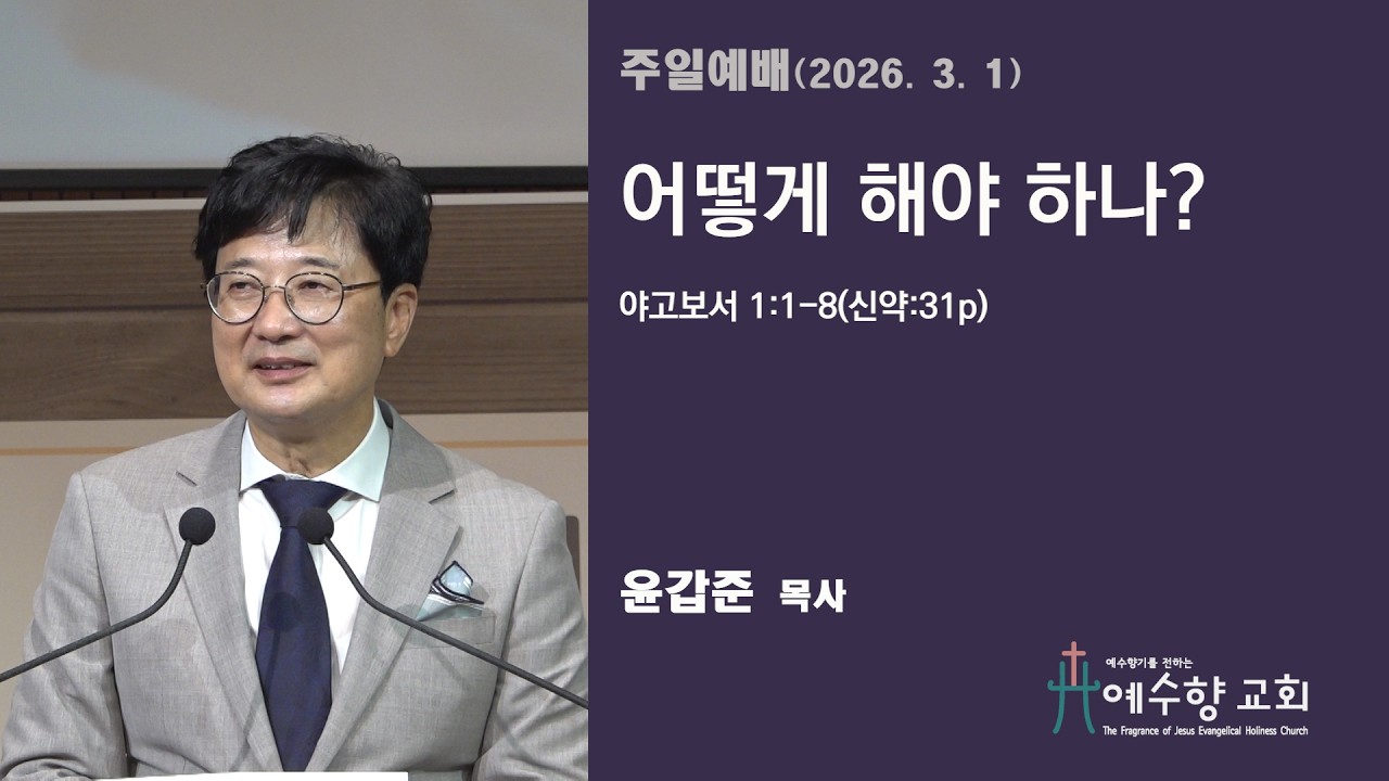 260301 어떻게 해야 하나