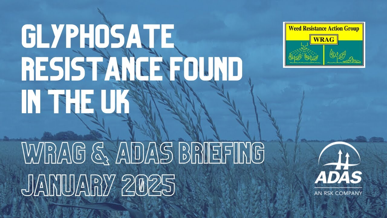 First case of glyphosate resistance found in UK - WRAG and ADAS announcement (January 2025)