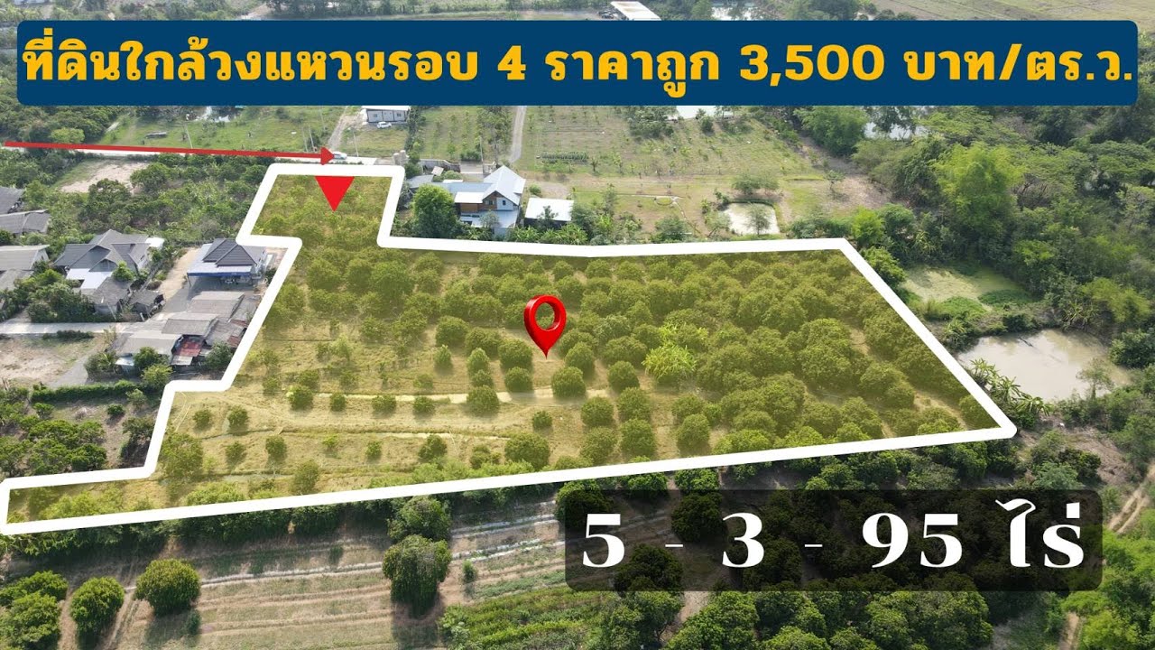 ขายสวนลำไย พร้อมที่ดินสวย บรรยากาศดี