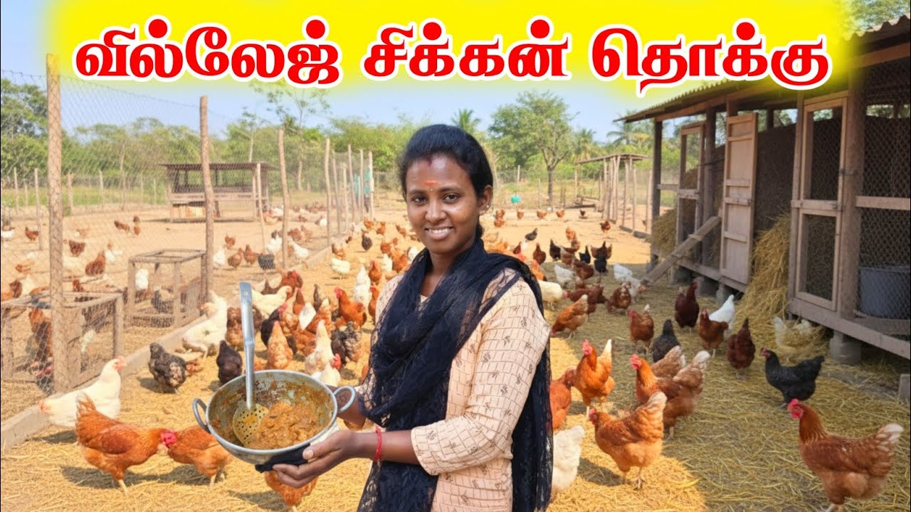 💥 வில்லேஜ் சிக்கன் தொக்கு 🐔 Chicken Thokku Recipe In Tamil 🐓 Selva Nisha Vlogs 
