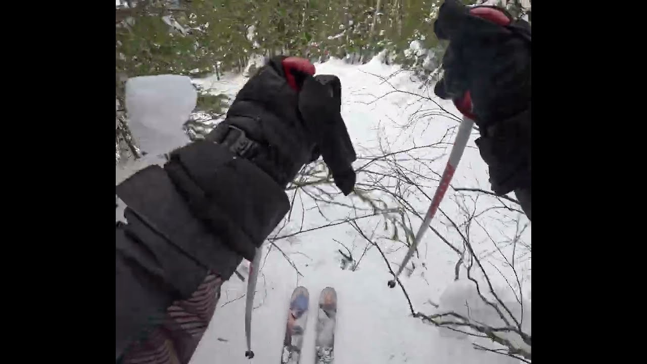 гора Белая лесной фрирайд 4к 15.02.2026